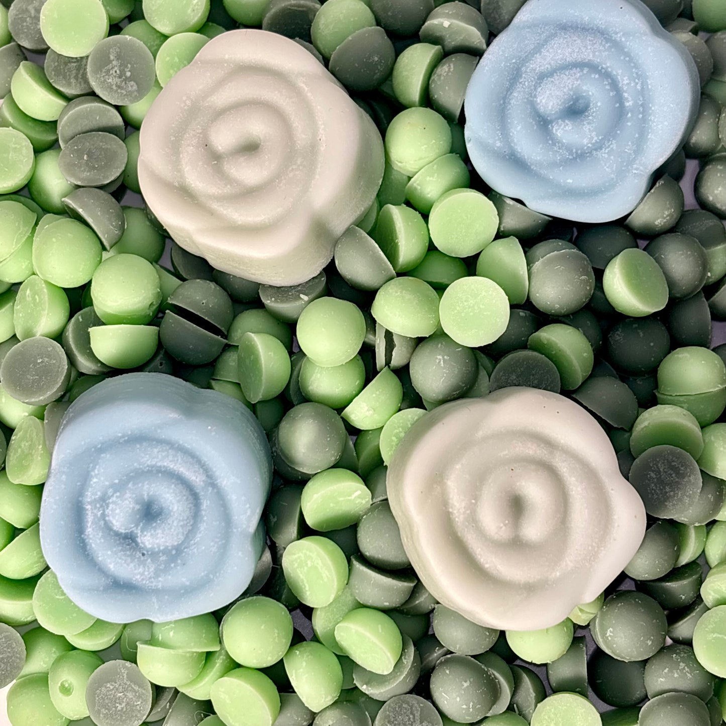 Petals Of The Coven
